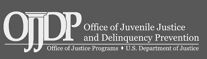 US Department of Justice